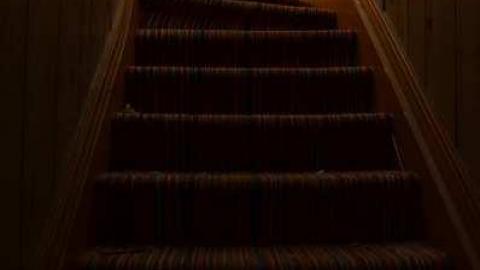 Delta Int. Equipment Sales Inc - DSC_8139.jpg