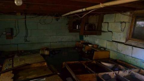 Whiteside - Beeton-is-Trashed-Big-Time83.jpg