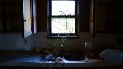 Whiteside - Beeton-is-Trashed-Big-Time100.jpg