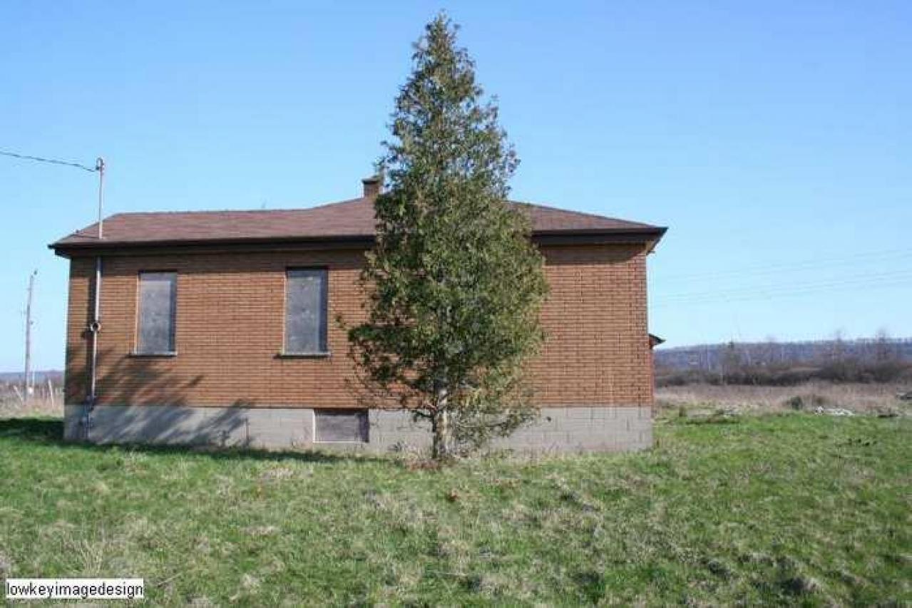 groundskeeper for hire - IMG_9613.jpg