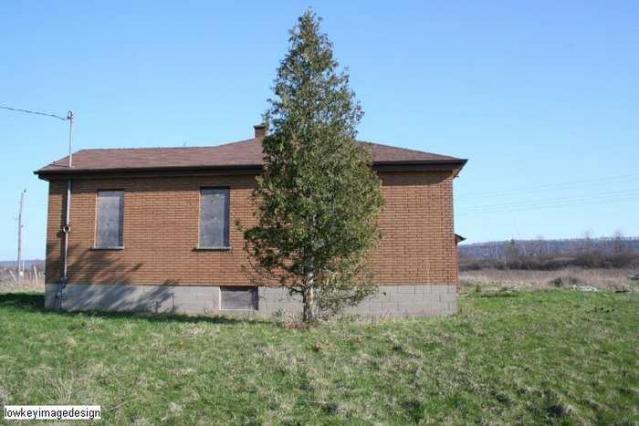 groundskeeper for hire - IMG_9613.jpg