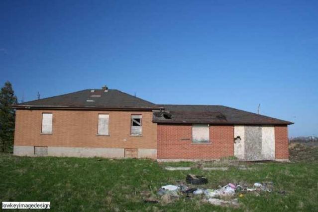 groundskeeper for hire - IMG_9621.jpg