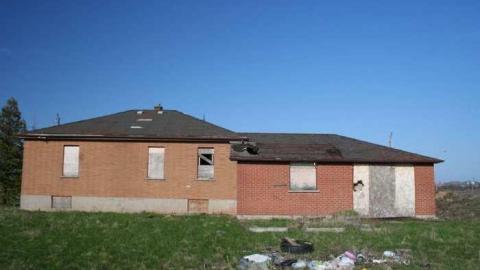 groundskeeper for hire - IMG_9621.jpg