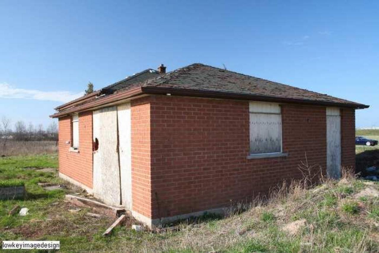 groundskeeper for hire - IMG_9622.jpg