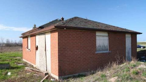 groundskeeper for hire - IMG_9622.jpg