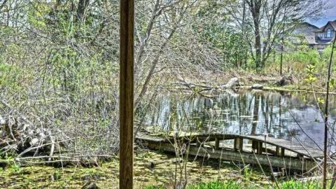 May/13 - House-In-The-Swamp120.jpg