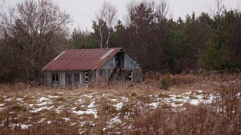 Dec '11 - WW (7).jpg