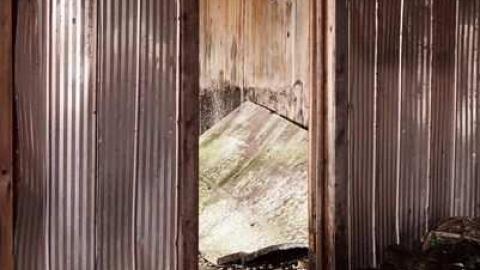 Dec '11 - WW (11).jpg