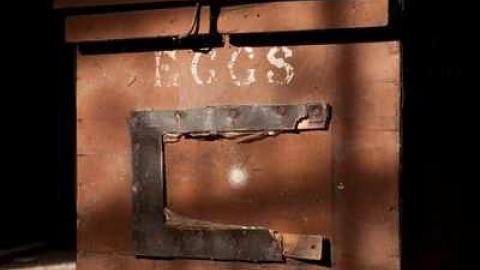 Dec '11 - WW (20).jpg