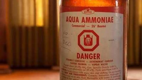 Dec '11 - WW (28).jpg