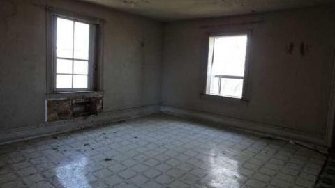 Whoop Whoop - DSC03813.jpg