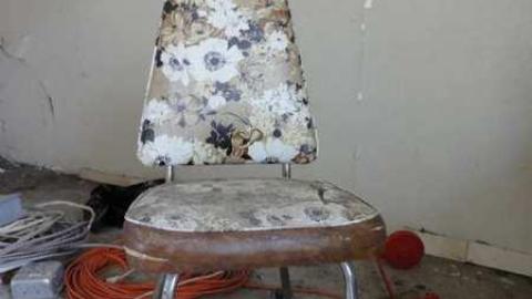 Whoop Whoop - DSC03822.jpg