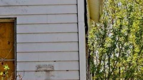 Photo from April 2013