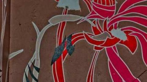 Photo from April 2013