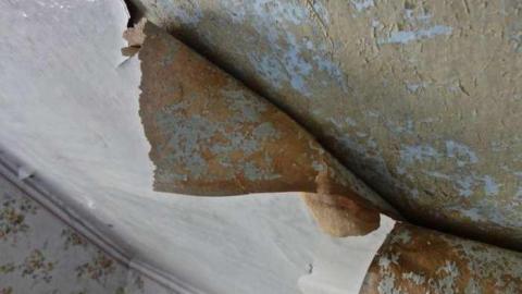 10/10 - DSC03860.jpg