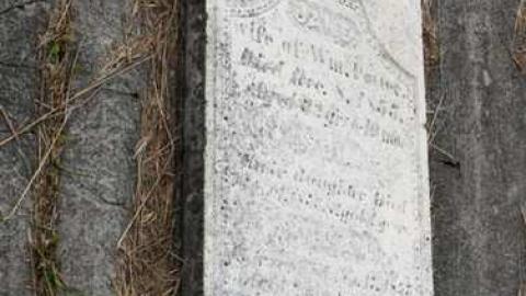 Enfield and Potter Cemetery photo 5