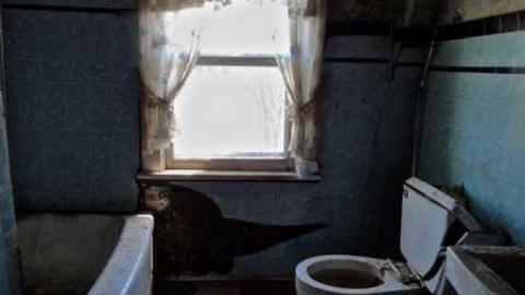 10/10 - DSC03864.jpg