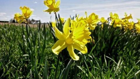 10/10 - DSC03870.jpg