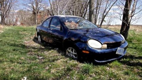 Skylark - Absorbed36.jpg