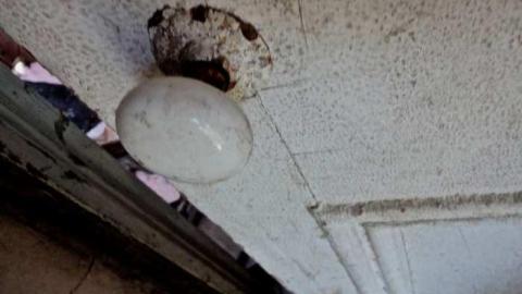 Skylark - Absorbed38.jpg