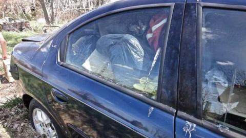 Skylark - Absorbed35.jpg