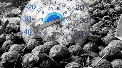 Spring 2013 - Townline-Road19.jpg