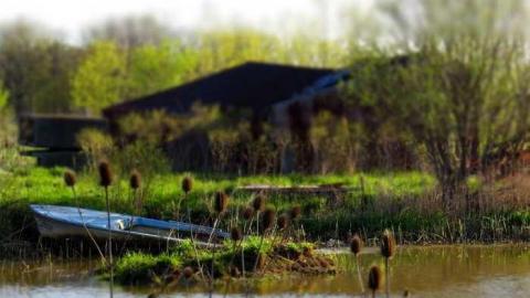 Spring 2013 - Townline-Road24.jpg