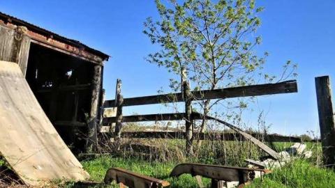 Spring 2013 - Townline-Road20.jpg