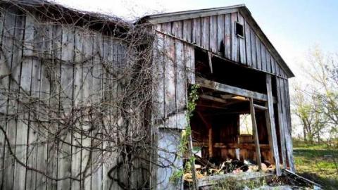 Spring 2013 - Townline-Road21.jpg