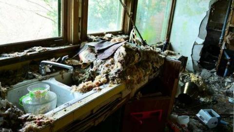 What's under the ceiling? - The-Big-Lobaskie4.jpg