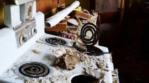 The Big Lobaskie photo 2