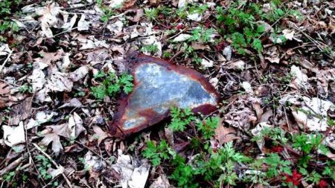 Final Stop - Michigan-Central-RR-Stop-Ruins22.jpg