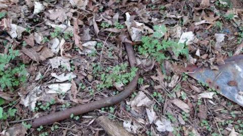 Final Stop - Michigan-Central-RR-Stop-Ruins11.jpg