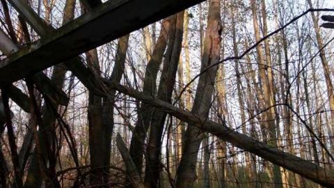 Final Stop - Michigan-Central-RR-Stop-Ruins25.jpg