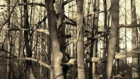 Final Stop - Michigan-Central-RR-Stop-Ruins27.jpg