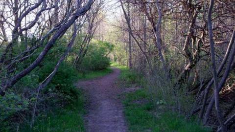 Final Stop - Michigan-Central-RR-Stop-Ruins28.jpg