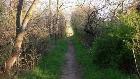 Final Stop - Michigan-Central-RR-Stop-Ruins32.jpg
