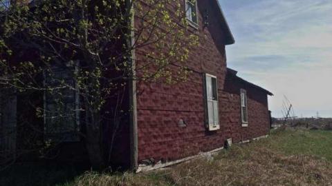 Vulture! - Ruby-Red66.jpg