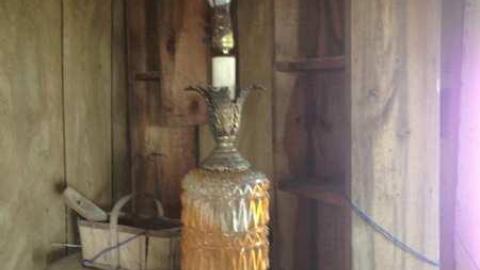 Vulture! - Ruby-Red44.jpg