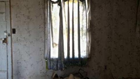 Vulture! - Ruby-Red45.jpg