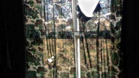 Vulture! - Ruby-Red48.jpg