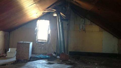 Vulture! - Ruby-Red62.jpg