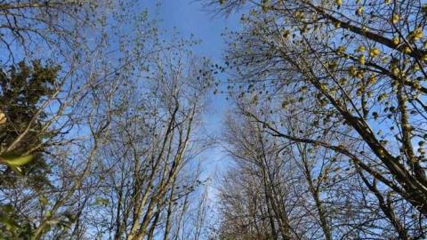 Missed My Stop - Michigan-Central-RR-Stop-Ruins33.jpg