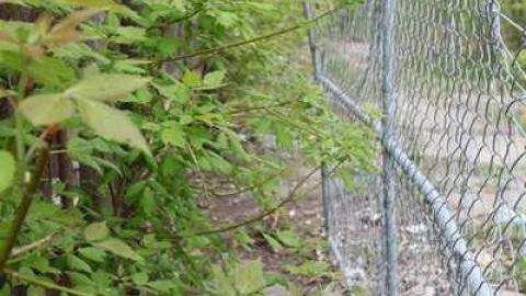 Beer Store Specials - IMG_0053.jpg