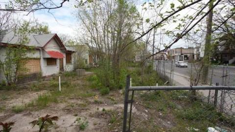 Beer Store Specials - IMG_0056.jpg