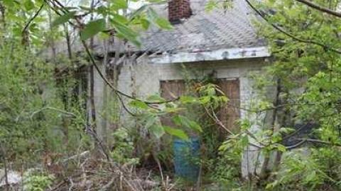 By the Beer Store photo 3