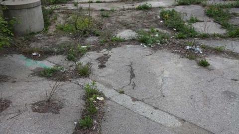 Beer Store Specials - IMG_0067.jpg