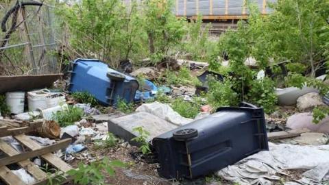 By the Beer Store photo 4