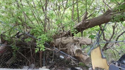 By the Beer Store photo 5