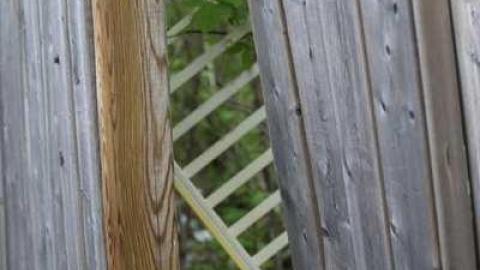 By the Beer Store - Toronto, Ontario